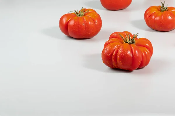 A group of Costoluto big tomatoes on a grey background, space for text