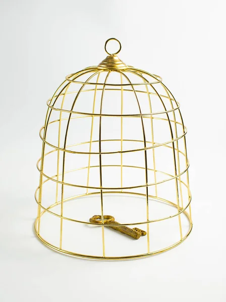 Grote Gouden Vogelkooi Sleutel Witte Achtergrond Concept Bevoorraden Foto — Stockfoto