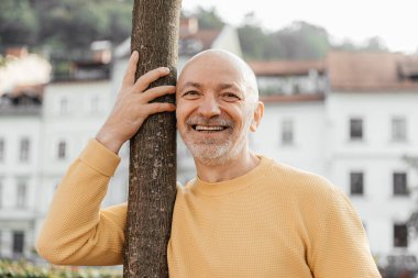 Sarı Süveterli Kıdemli Adam Gülümseyen ve Yaslanan Şehir Bölgesindeki Ağaca Karşı