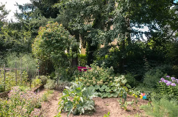 Bereketli bitkilerle, ağaçlarla ve canlı çiçeklerle dolu sebze bahçesi, güneşli bir günde yeşillikle çevrili, bahçe konsepti.