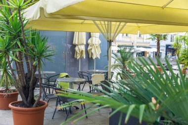 Sarı şemsiyeler altında boş masalar, saksı bitkisi olan açık kafe, şehir merkezi, gündüz, konukseverlik ve rahatlama konsepti için ideal.