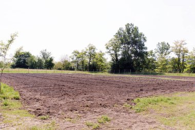 Freshly tilled, fertile soil field ready for planting, surrounded by greenery, sunny day, farming concept clipart