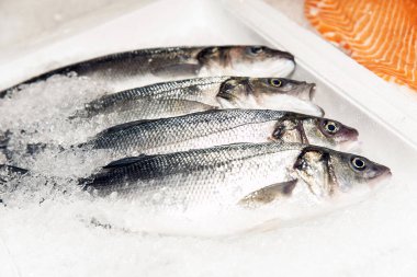 Çiğ, taze balık, deniz ürünleri pazarında buzda yatmak, sağlıklı beslenme kavramını teşvik etmek.