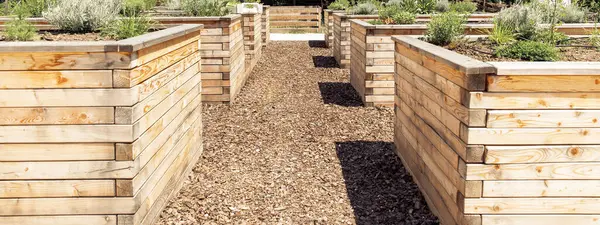 Kentsel park bahçesinde ahşap kaldırılmış yataklar, sürdürülebilir çevre dostu bahçıvanlık, halka açık yeşil alan kavramı