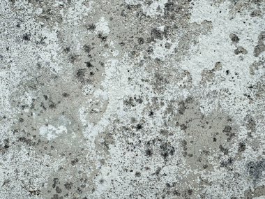 Arka plan kullanımı için yosun ve yosun içeren eskimiş beton doku