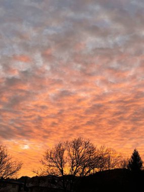 Vibrant sunset sky with silhouetted trees and colorful clouds. clipart