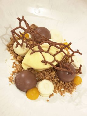 Çikolatalı nane şekeri, kakao parçacıklı ve vanilyalı dondurma, çikolata dallarıyla süslenmiş..