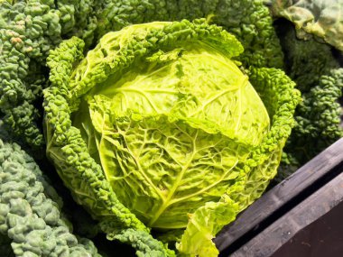 Taze yeşil lahana ve desenli yapraklar sergileniyor..