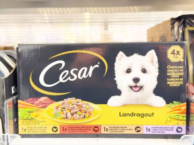 Batı Highland beyaz teriyer görüntülü Cesar köpek maması paketi.