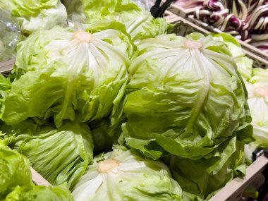 Markette taze yeşil marul başları sergileniyor.