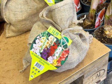 Çuval bezinde renkli gladiolus ampulleri ve üzerinde fiyat etiketi var..