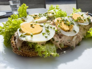 Yumurtalı açık yüzlü ton balıklı sandviç ve taze sebzeli ekmek..