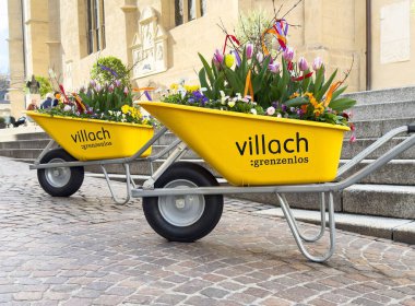 Ambblestone caddesinde sarı el arabalarıyla renkli bahar çiçeği düzenlemeleri.