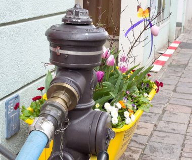 Bahar çiçekleriyle dekoratif yangın musluğu ve şehir ortamında paskalya süslemeleri..