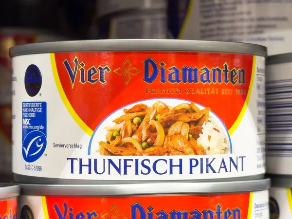 Baharatlı ton balığı konservesi, Asya mutfağı stili tasarım..