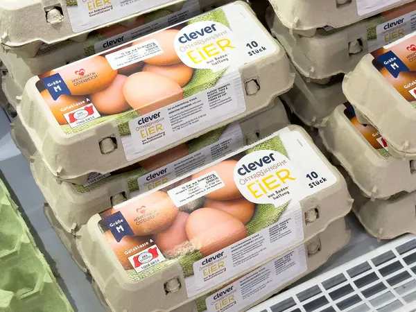 Market rafına istiflenmiş karton Avusturya yumurtası..