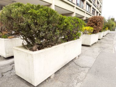 Kent kaldırımını farklı mevsimlerde çalılarla kaplayan yerleşik beton ekicileri.
