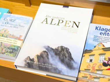 Ahşap rafta 'die anderen alpen' sergisi.