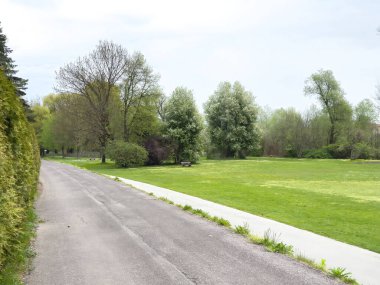 Bulutlu bir günde yemyeşil yollu sakin bir park yolu.