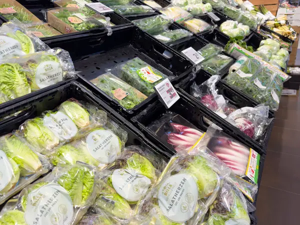 Villach, Avusturya - 17 Nisan 2025: Taze sebzelerin pazarda sergilenmesi sağlıklı yaşam ve sürdürülebilir seçenekler için çeşitlilik ve besinleri vurguluyor