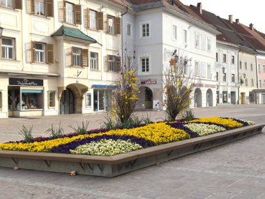 Güneşli bir günde Avrupa şehir meydanında canlı bir çiçek sergisi.