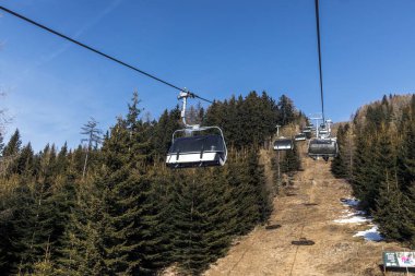 Açık bir günde çam ağaçlarıyla kaplı dağda kayak kaldırma.