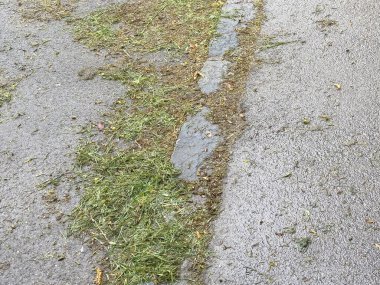 Islak yol kenarı, taze kesilmiş çimenler ve soluk asfalt dokusu..