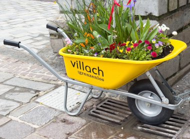 Sarı el arabasında açan renkli çiçekler taş kaldırımlarda..