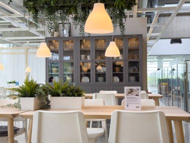 Parlak restoranda sallanan bitkiler ve beyaz sandalyelerle modern kapalı yemek alanı..