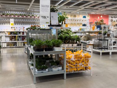 Ev eşyaları mağazasında dekoratif ürünler sergilenen kapalı bitki bölümü.