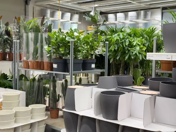 Satılık yeşil bitki ve saksıları olan kapalı bir bahçe merkezi..