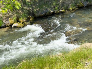 Sakin bir orman ortamında yemyeşil sulardan akan sakin bir nehir..