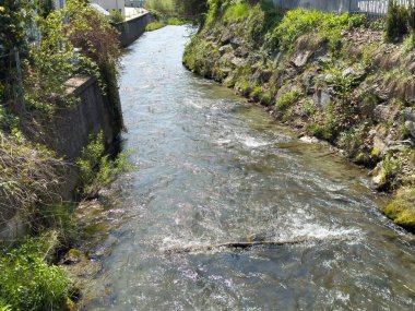 Güneşli bir günde kayalık yeşil arazide akan sakin bir dere..