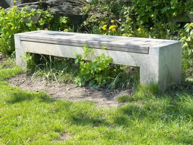 Yeşil ve sarı çiçeklerle çevrili güneşli bahçede beton tezgah..