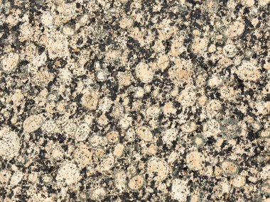 Doğal gri ve bej benekli granit desenli..