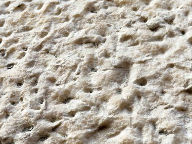 Görünür delikleri ve kremsi yüzeyi olan İsviçre peynirinin yakın çekim dokusu.