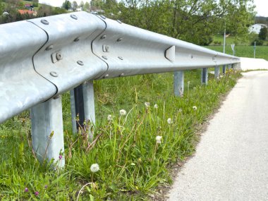 Kırsal bölgedeki asfalt yol boyunca bariyerlere ve karahindibalara yakın durun..