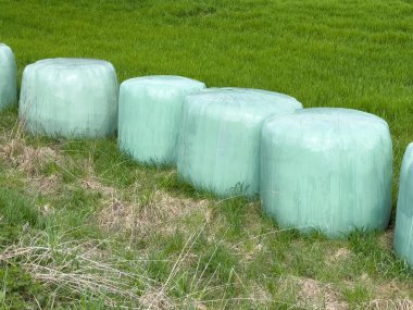 Çimen ve tarım elementleriyle yemyeşil saman balyaları.