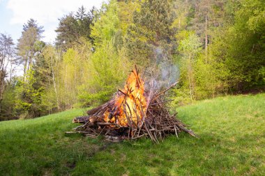 Parlak turuncu alevlerle dolu canlı bir şenlik ateşi, yemyeşil çimenler ve ağaçlarla çevrili, huzurlu doğal ortamda sıcak ve davetkar bir atmosfer yaratıyor, rahatlık ve bağlantı hissi uyandırıyor.