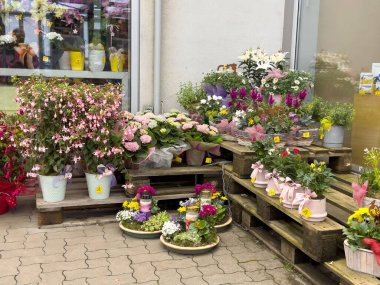 Açık hava pazarında çeşitli renkli çiçeklerle canlı bir çiçek sergisi..