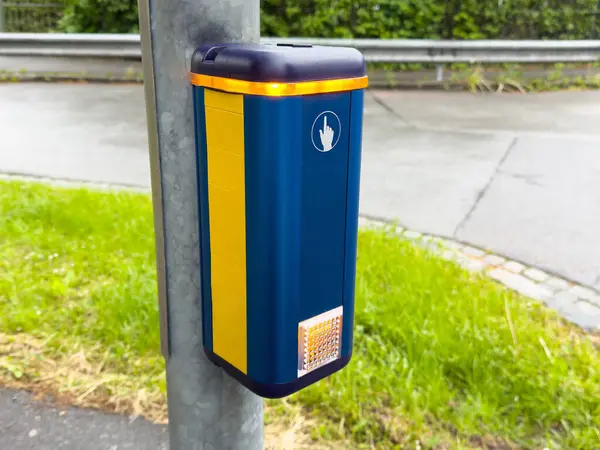 Şehir caddesinde çimenli ve kaldırımlı modern yaya geçidi düğmesi.