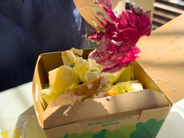Izgara tavuklu taze sezar salatası ve ekolojik kutuda radicchio..