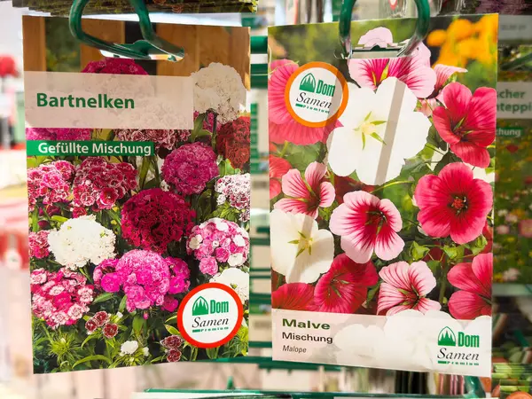 Renkli çiçek tohumu paketleri pembe ve beyaz çiçeklerle sergilenir.