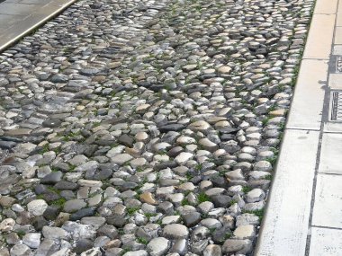 Kentsel ortamında yosun artışı olan tarihi kaldırım taşı caddesi.