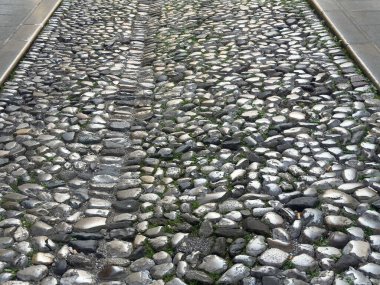 Şehir ortamında yeşil yosun aksanlı kaldırım taşı yolu.