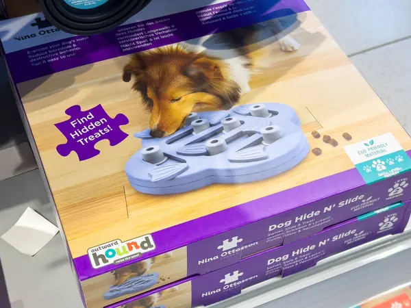 Köpekler için yapboz oyunu. Kahverengi ve beyaz köpekler ödül arıyor..