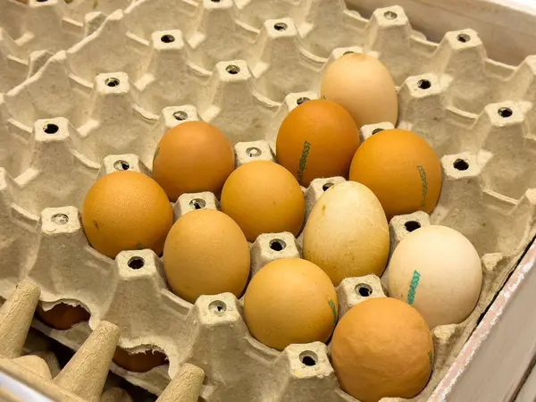 Karton tepside kahverengi ve beyaz yumurtalar.