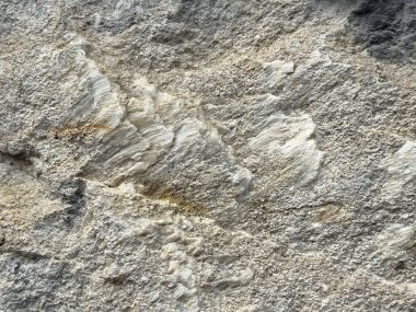 Beyaz mineral damarlı doğal kireç taşı dokusuna yakın çekim.