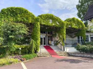 Güneşli bir günde kırmızı halı girişi olan zarif sarmaşık kaplı bir bina..