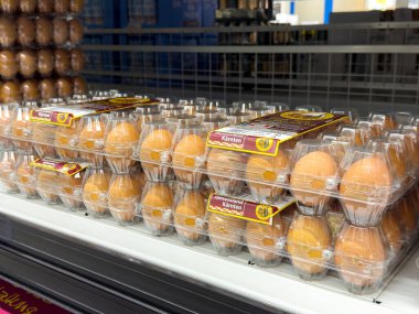 Süpermarketin rafında sergilenen plastik kutularda kahverengi yumurtalar.